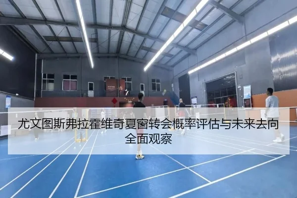 尤文图斯弗拉霍维奇夏窗转会概率评估与未来去向全面观察