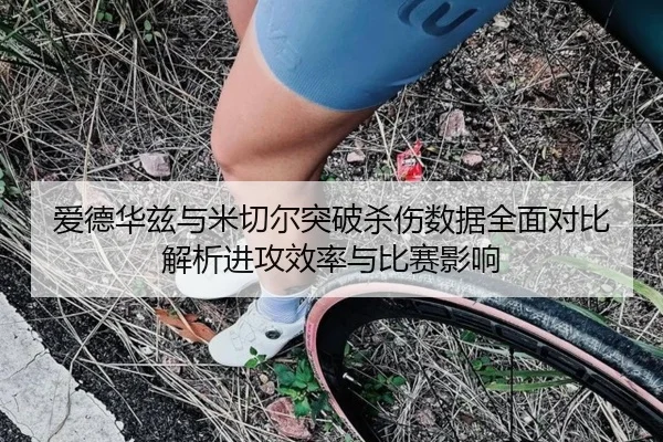 爱德华兹与米切尔突破杀伤数据全面对比解析进攻效率与比赛影响